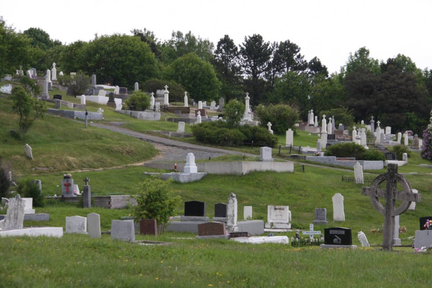 Cemetery-Mount Carmel Catholic (Placentia NL)