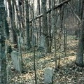 Cemetery-Kidd (Knoxville TN)