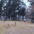 Cemetery-McHenry (Desloge MO)