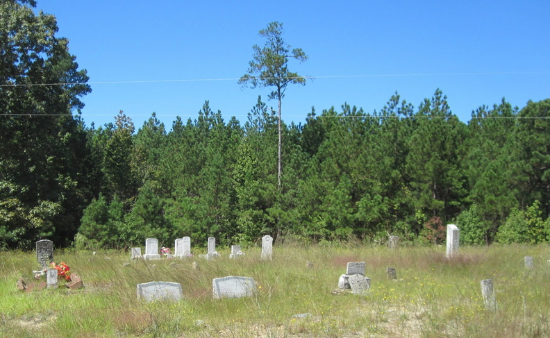 Cemetery-Moon Family (Greene County GA).jpg