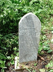 Grave-LITTLE Hardy