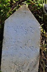 Grave-MAYES William H