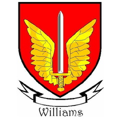 Arms-WIILAMS