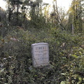 Cemetery-Street (Madison Heights VA)
