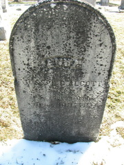 Grave-ALCOTT Anna
