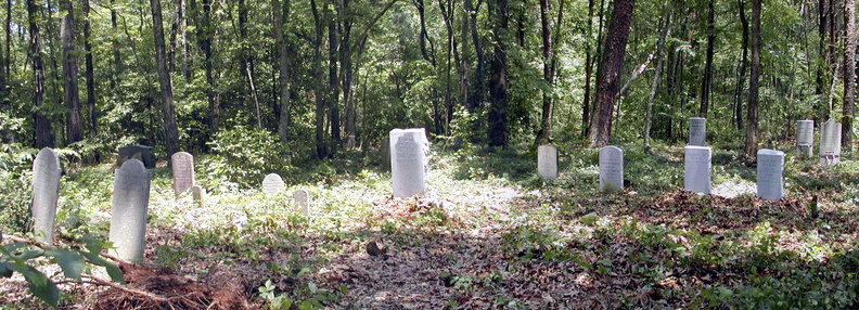 Cemetery-Gold Family (Lattimore NC).jpg