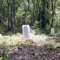 Cemetery-Gold Family (Lattimore NC)