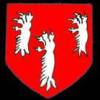 Arms-NEWDIGATE