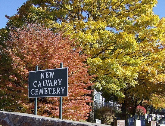 Cemetery-New Calvary (Boston MA).jpg